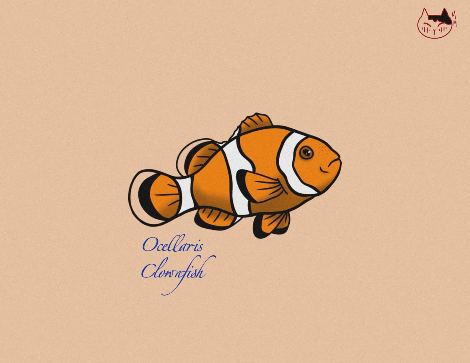 Clownfish flash design